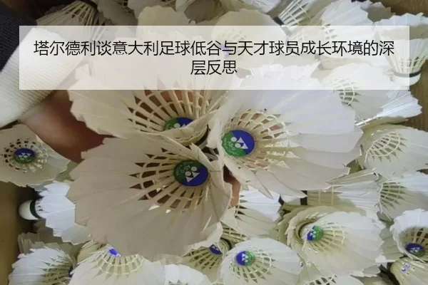 塔尔德利谈意大利足球低谷与天才球员成长环境的深层反思